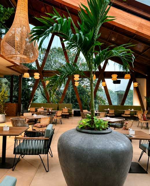 Botanica Indoor Dining Planter